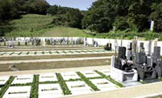 お隣のお墓との間隔およそ30cmに緑地部分を設けた。緑地墓地（タマリュウ）