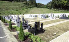 一般墓地（植栽を施した墓地）