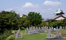 墓地風景