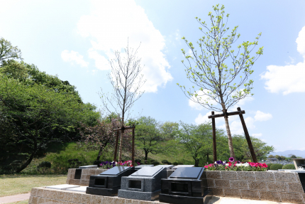 大人気の樹木葬は、おひとり様用25万円より先着順受付中です。