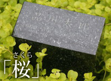 個人墓　「桜（さくら）」