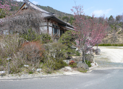 四季折々の花が咲く境内