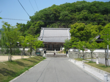 桜の木々に囲まれた墓苑