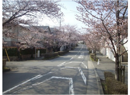 近隣には桜が咲き四季折々の風情を感じて頂けます。