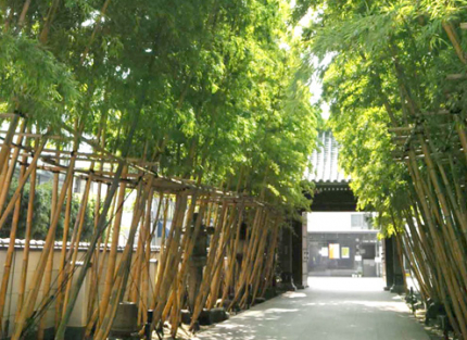 梅窓院は、青山の地名の由来となった青山家の菩提寺で、格式があり非常に上品な佇まいです。
