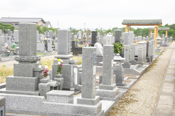 米子方面から境港へ向かうと閑静な住宅街の中に広々とした墓地が広がります。