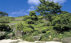 園内からは、八王子市街地、丹沢の山並み、霊峰富士も望め、充実した施設と相まってお参りに訪れる方のこころを和ませます。