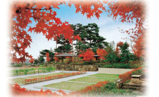 正門からほど近い場所に位置する「もみじ苑」は、京都の高雄をイメージした緑豊かな墓域。