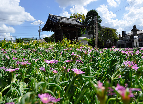 吉祥院 永代供養付墓「雙樹（そうじゅ）」霊園風景