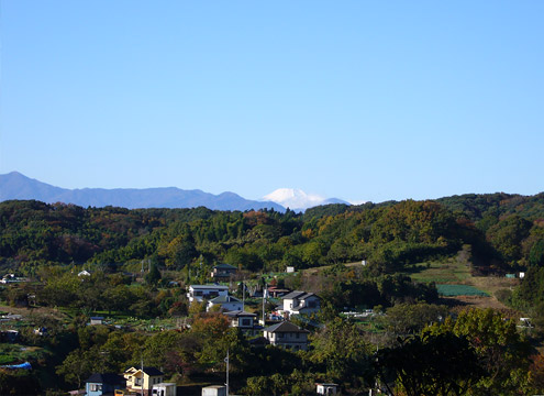 富士山、丹沢山系などを望む苑内からの眺望