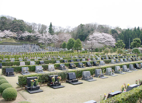霊園風景3 - よく手入れされた植栽で美しく飾られた墓域。