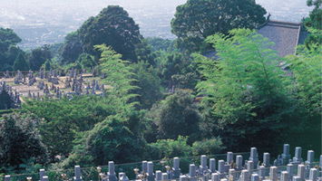 法蔵寺境内墓地